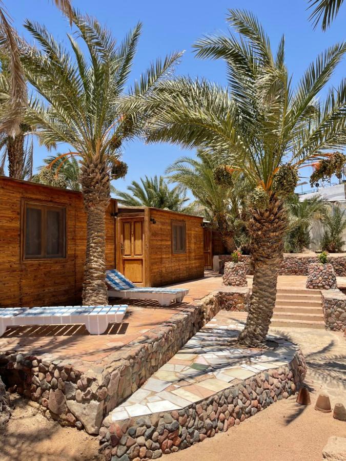 Hotel Dolphin Camp Dahab Exterior foto