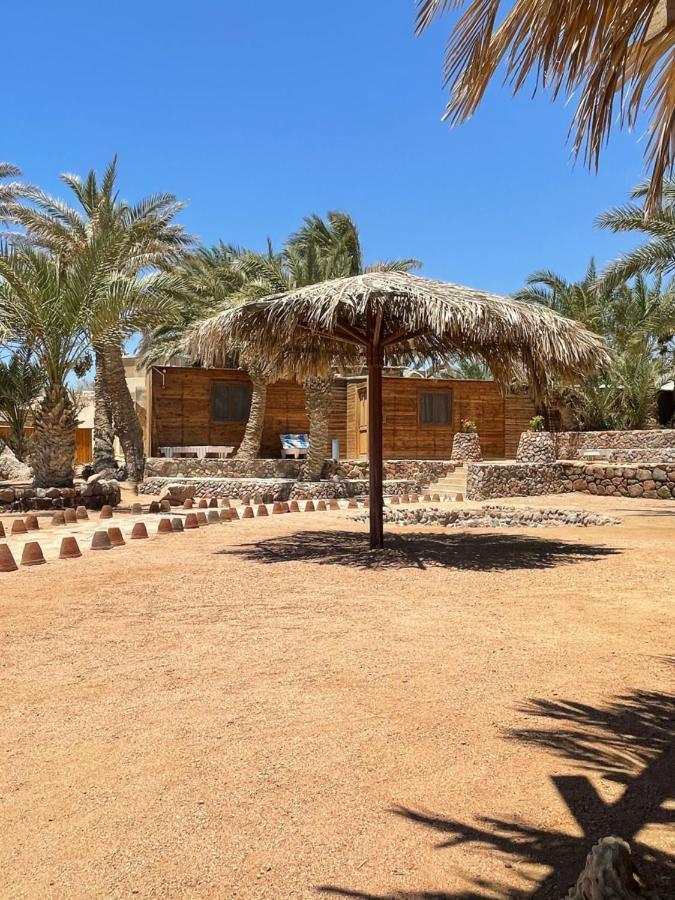 Hotel Dolphin Camp Dahab Exterior foto