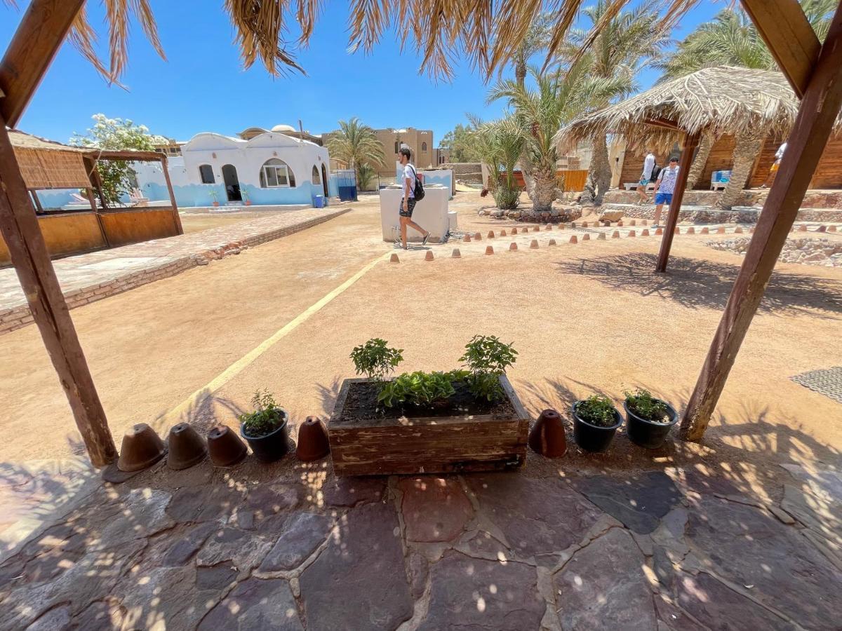 Hotel Dolphin Camp Dahab Exterior foto
