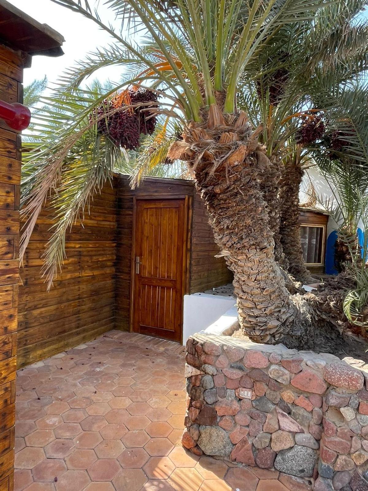 Hotel Dolphin Camp Dahab Exterior foto