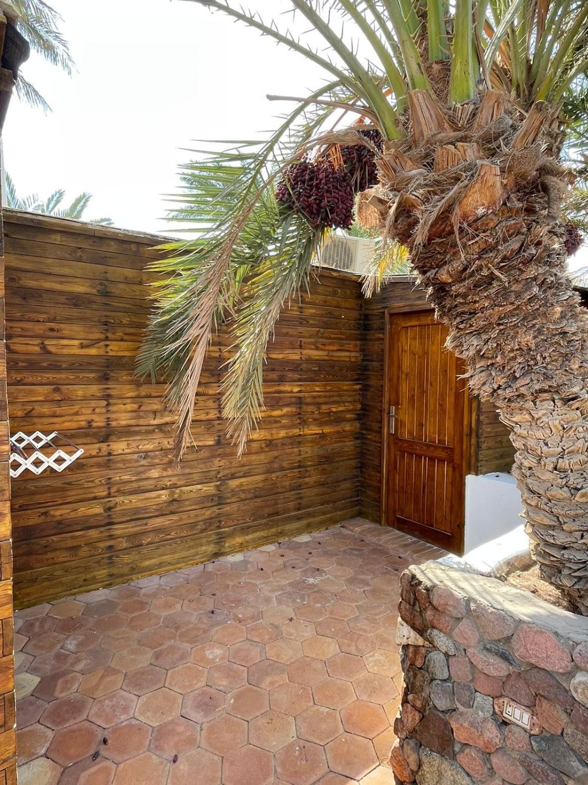Hotel Dolphin Camp Dahab Exterior foto
